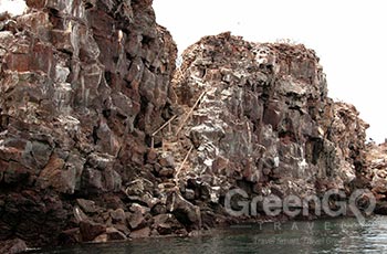 Prince Philips Steps - Galapagos