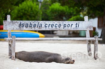 Villamil Port - Galapagos
