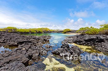 Wetlands - Galapagos