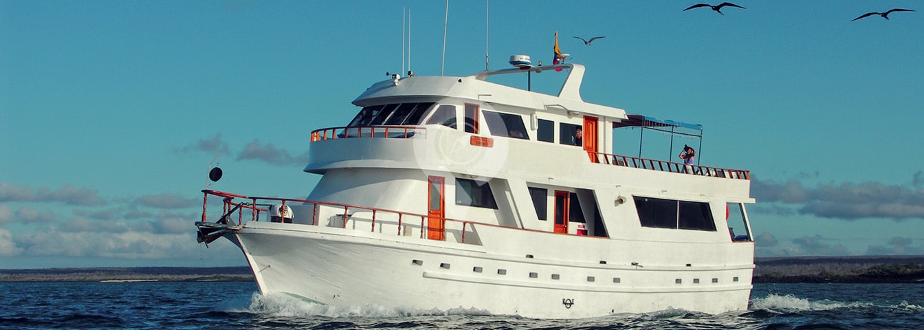 Darwin Galapagos Yacht Darwin Galapagos Yacht