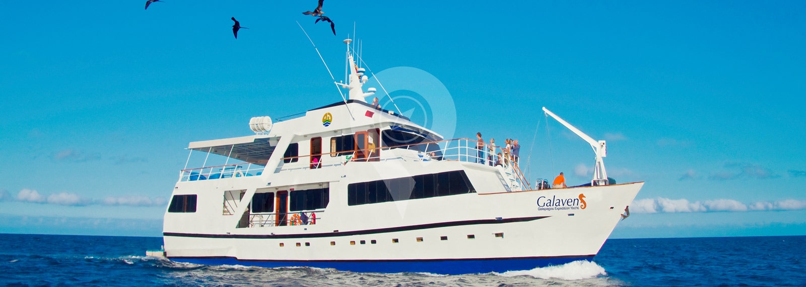Galaven Galapagos Yacht Galaven Galapagos Yacht