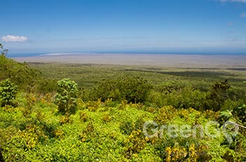 Cerro Mesa - Galapagos