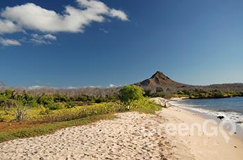 Dragon Hill - Galapagos