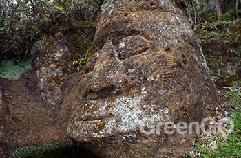 Asylum of Peace - Galapagos