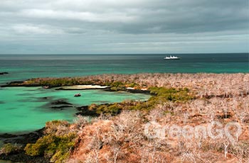 Baroness Lookout - Galapagos