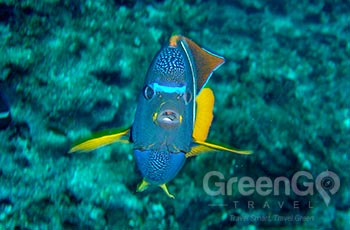 Buccaneer Cove - Galapagos