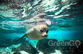 Eden Island - Galapagos