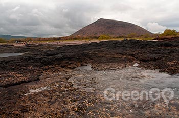 Egas Port - Galapagos