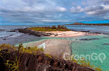 Floreana Island - Galapagos