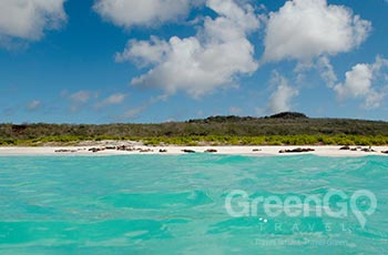 Gardner Bay - Galapagos