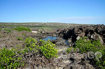 Genovesa Island - Galapagos
