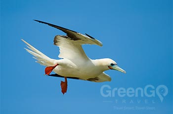 Pitt Point & Pitt Islet - Galapagos