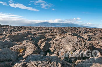 Punta Moreno - Galapagos