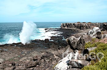 Suarez Point - Galapagos