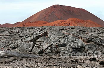 Sullivan Bay - Galapagos