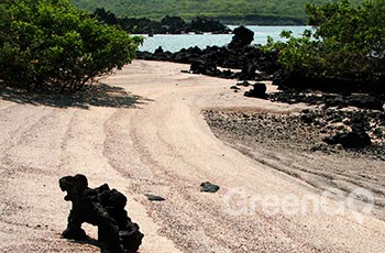 Urbina Bay - Galapagos