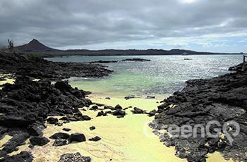 Whale Bay - Galapagos