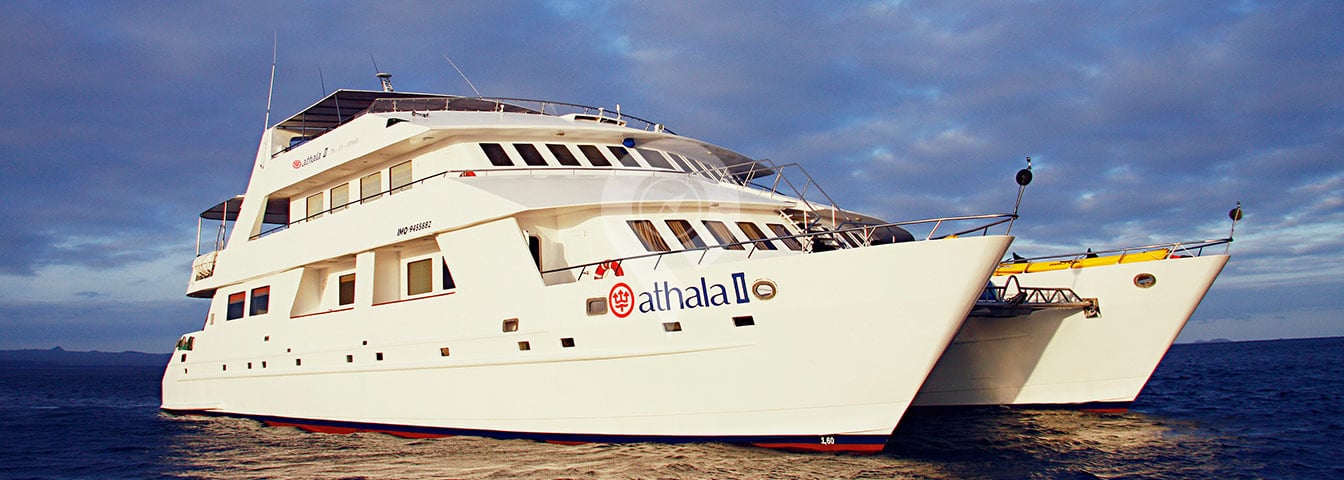 Athala Galapagos Catamaran Athala Galapagos Catamaran