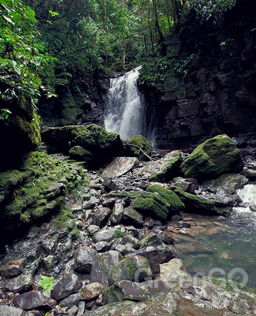 Cotococha Lodge Features Cotococha Lodge Features