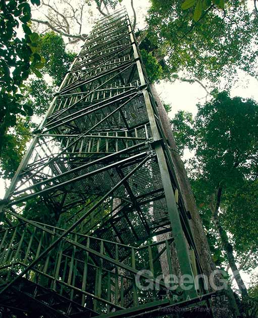Napo Wildlife Center Features Napo Wildlife Center Features