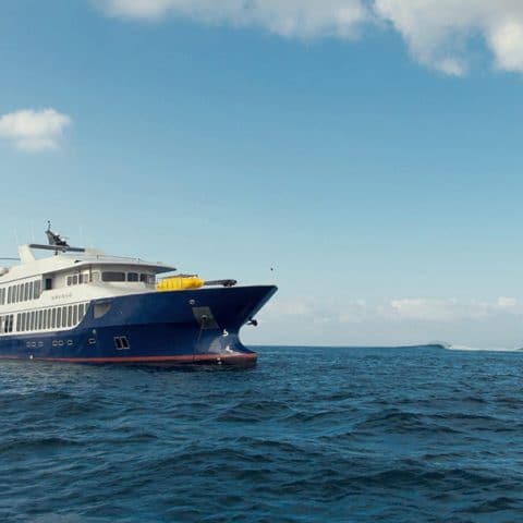 origin yacht galapagos