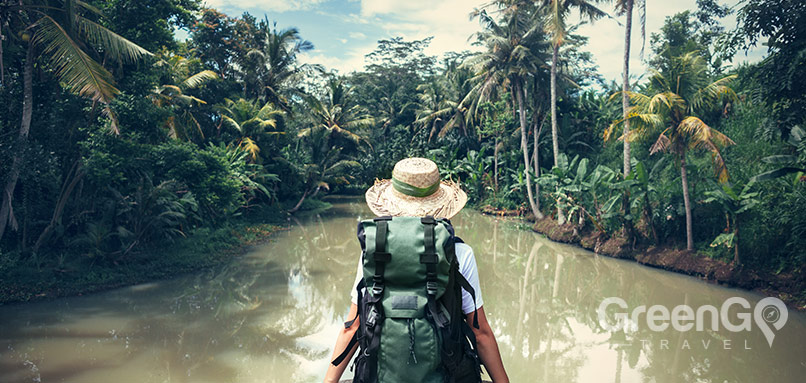 Travel blogger in Ecuador's rainforest Travel blogger in Ecuador's rainforest