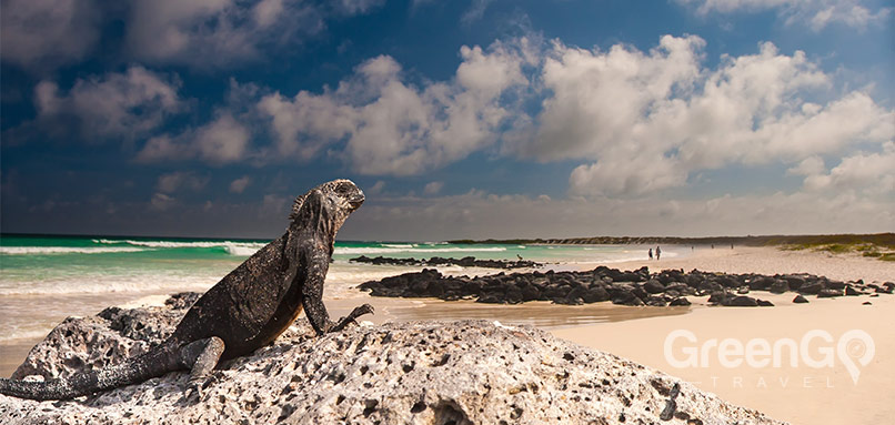 Galapagos landscape Galapagos landscape