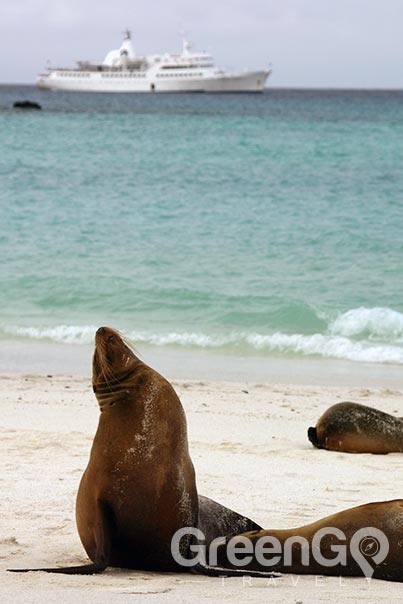 galapagos-vs-caribbean-choose-a-Galapagos-cruise