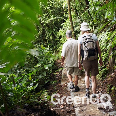 5 best hiking trails in ecuador Yasuni