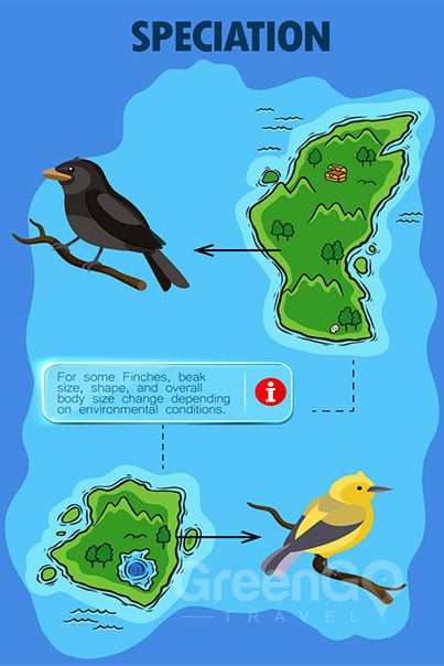 Evidence of Evolution in the Galapagos > GreenGo Travel