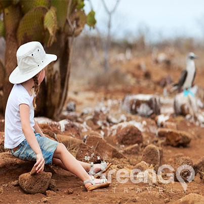 galapagos-cruises-for-families -Little girl staring at blue footed booby in galapagos