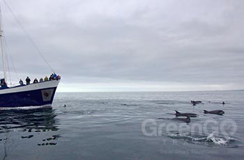 Galapagos Cruising Open Sea