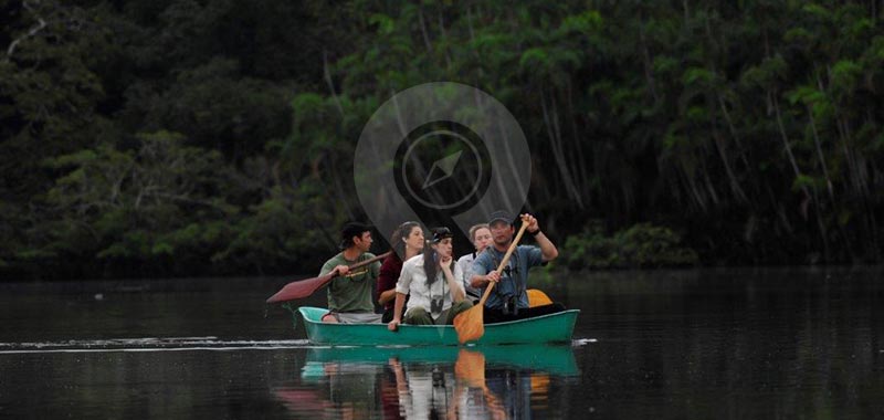 Amazon Dolphin - Dolphin Adventure Day 2