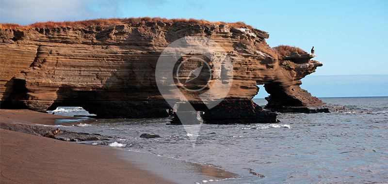 Egas Port - Galapagos Islands