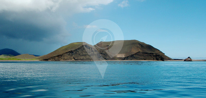 Marchena -Galapagos Islands