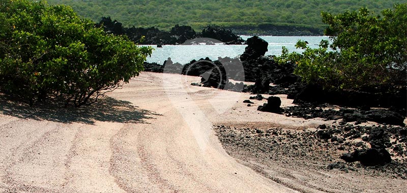 Urbina Bay - Galapagos Islands