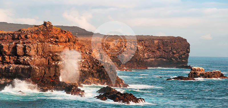 Espanola Island - Galapagos Islands