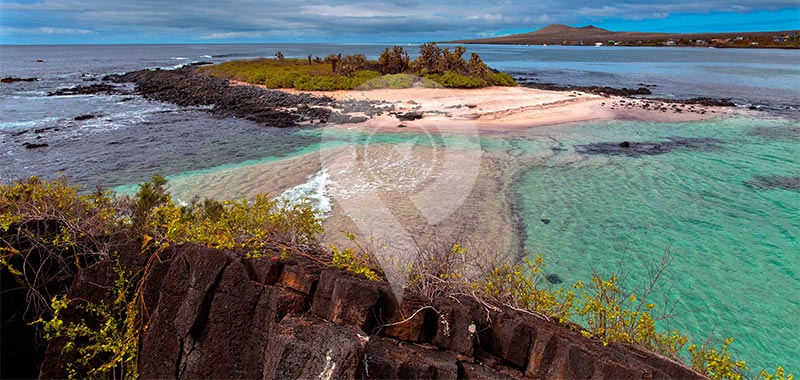 Floreana Island - Galapagos Islands