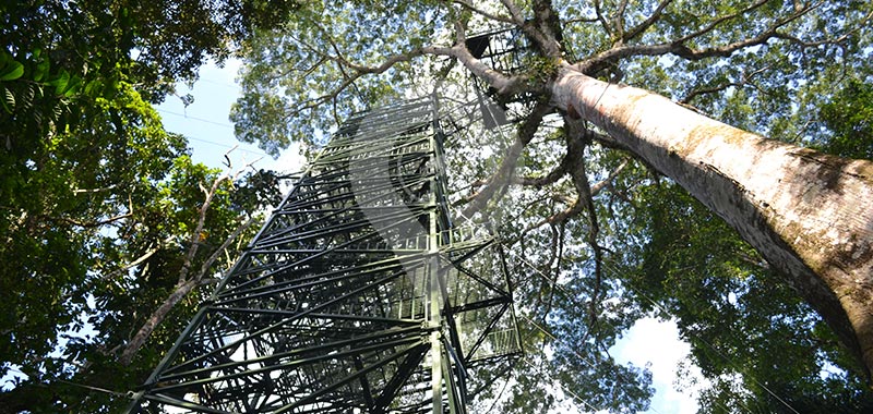 La Selva Eco Lodge - Day 2