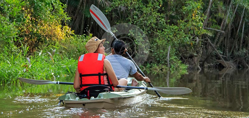 Manatee Amazon Explorer - Day 5