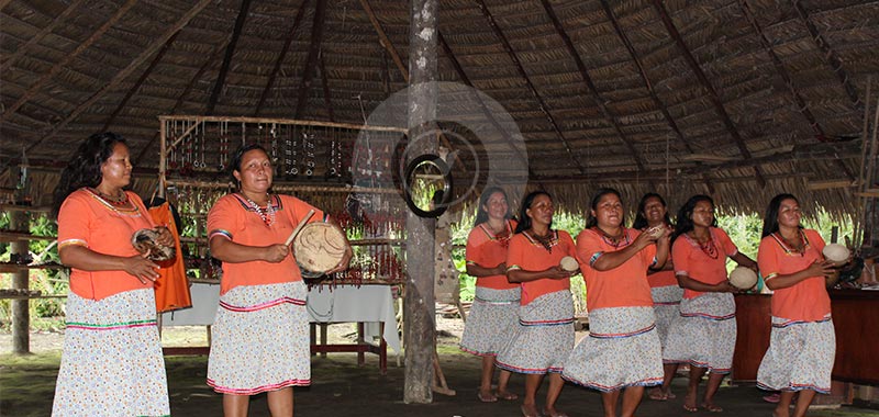 Napo Wildlife Center - Day 5