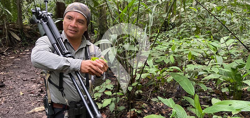 Napo Wildlife Center - Day 6