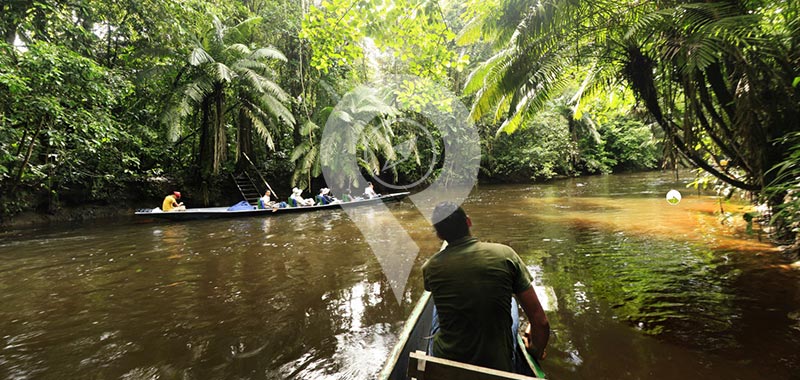 Napo Wildlife Center - Day 8
