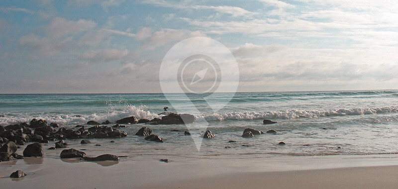 Turtle Bay - Galapagos Islands
