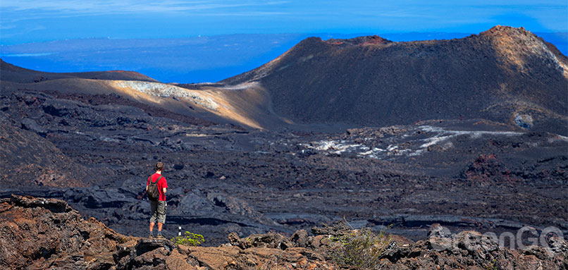 Sierra Negra Volcano