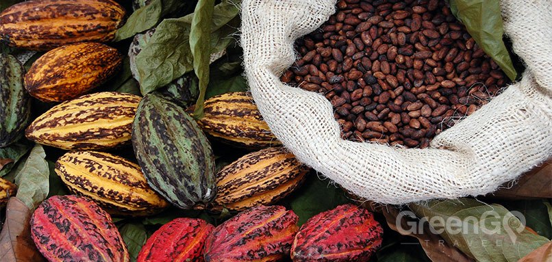 Ecuador-Souvenir-Guide-Cacao