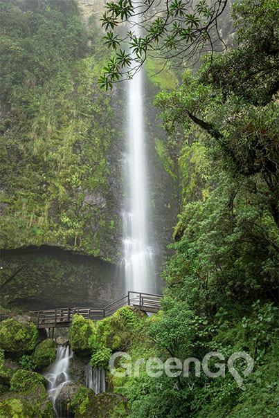 Ecuador Waterfall