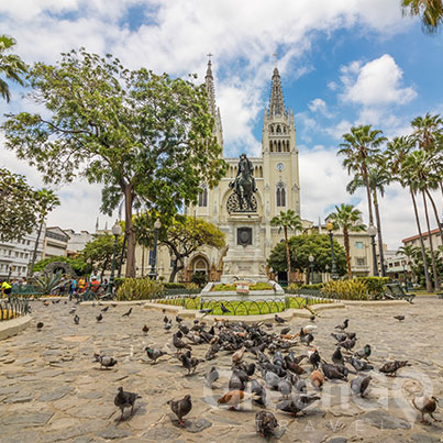 How to get to Galapagos Islands - Guayaquil