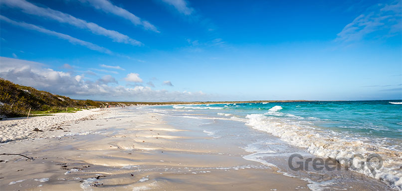 Tortuga bay beach